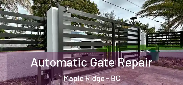 Automatic Gate Repair Maple Ridge - BC