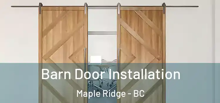  Barn Door Installation Maple Ridge - BC