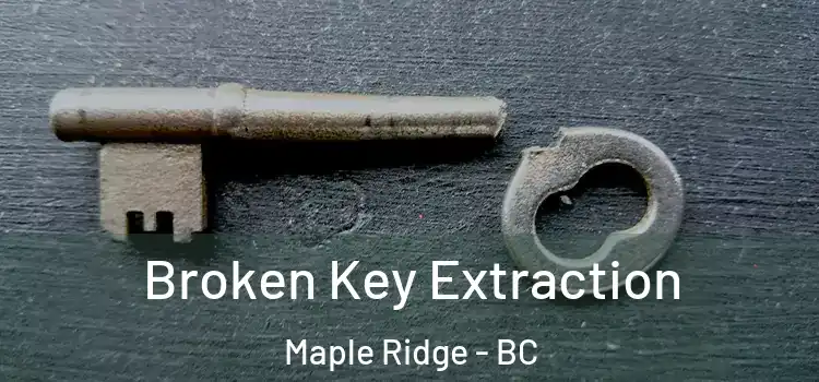  Broken Key Extraction Maple Ridge - BC