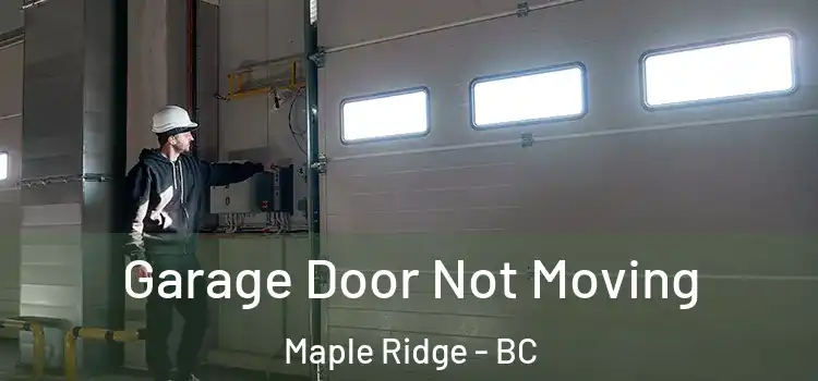 Garage Door Not Moving Maple Ridge - BC