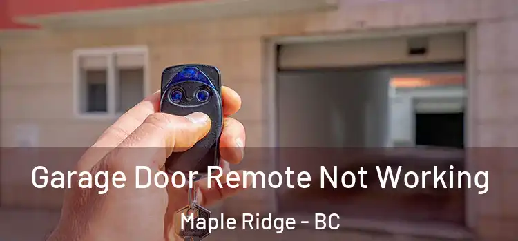  Garage Door Remote Not Working Maple Ridge - BC