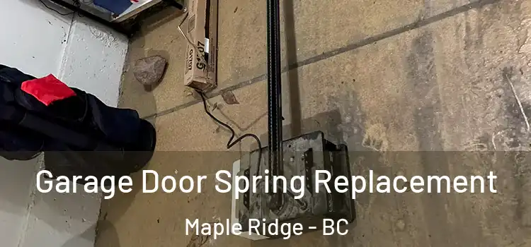  Garage Door Spring Replacement Maple Ridge - BC