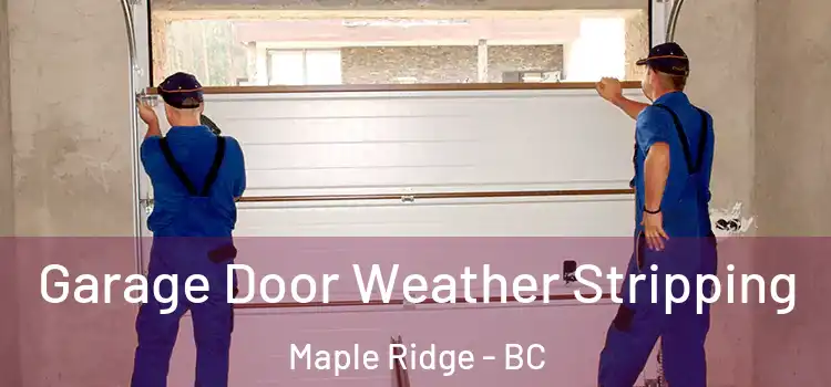  Garage Door Weather Stripping Maple Ridge - BC