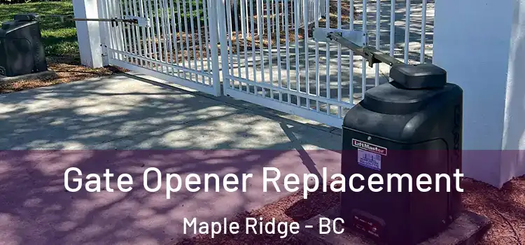 Gate Opener Replacement Maple Ridge - BC