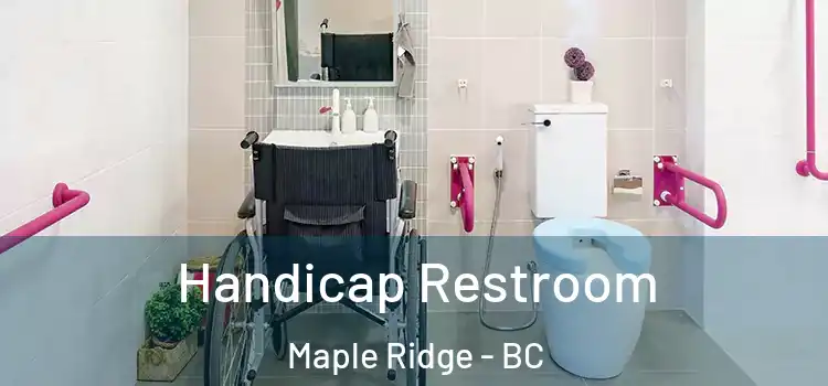  Handicap Restroom Maple Ridge - BC