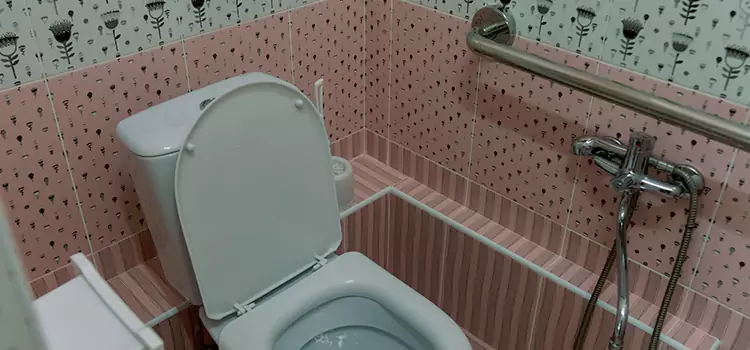 Meeting Diverse Needs With Accessible Restroom Solutions in Maple Ridge, BC