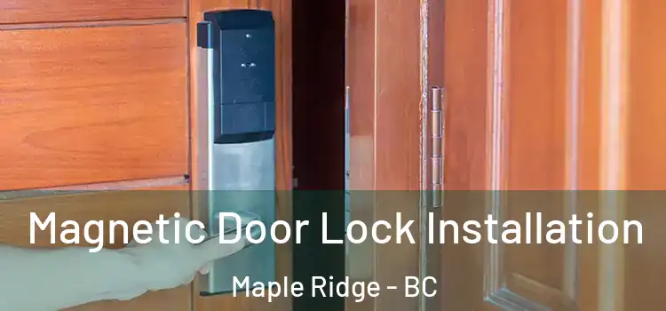  Magnetic Door Lock Installation Maple Ridge - BC