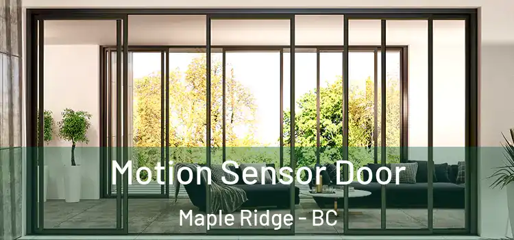  Motion Sensor Door Maple Ridge - BC
