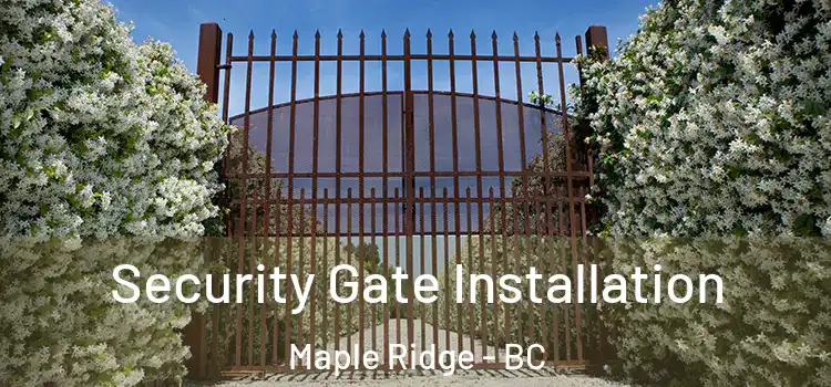 Security Gate Installation Maple Ridge - BC