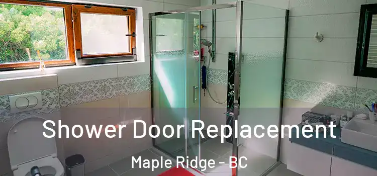 Shower Door Replacement Maple Ridge - BC